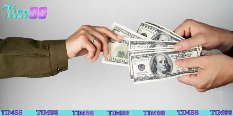 Khám phá hoa hồng Tim88 mới nhất
