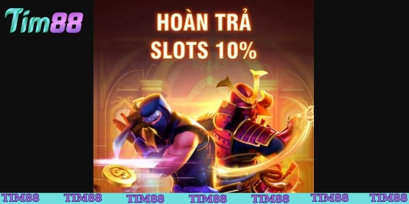 Khám phá sự kiện Tim88 hot nhất